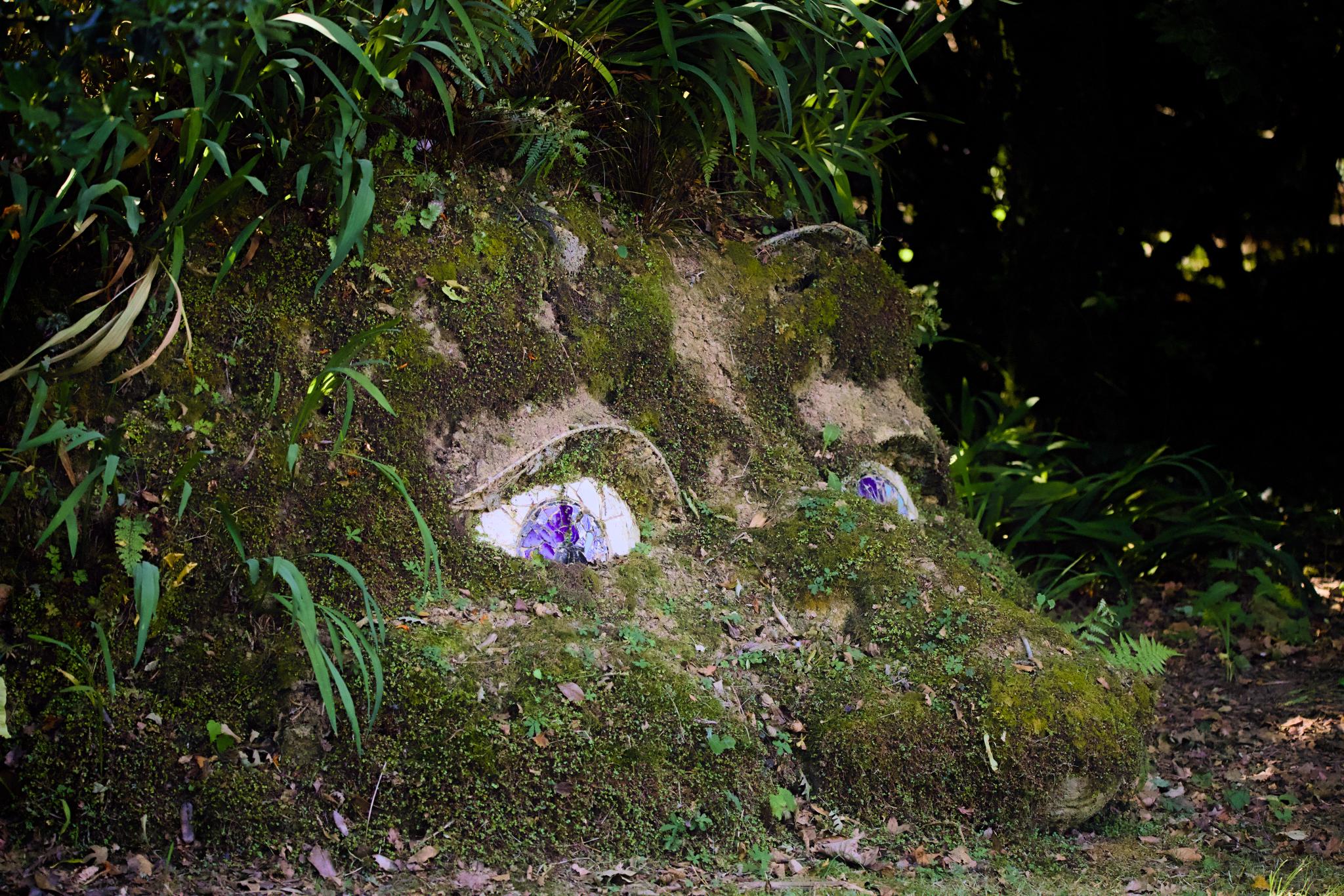 The Giant's Head, a mossy face with glass eyes in the undergrowth