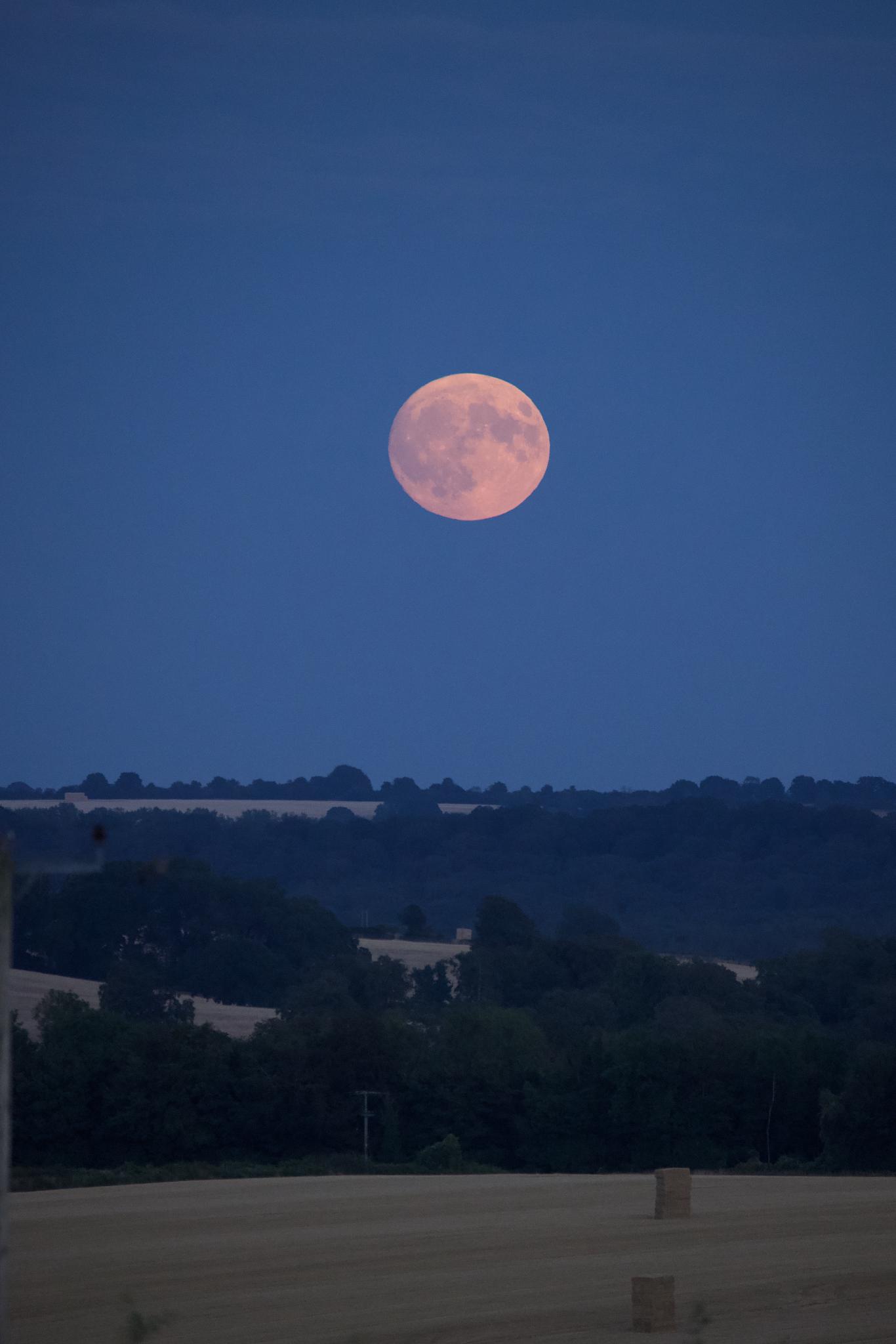 Full moon rising over fields at dusk