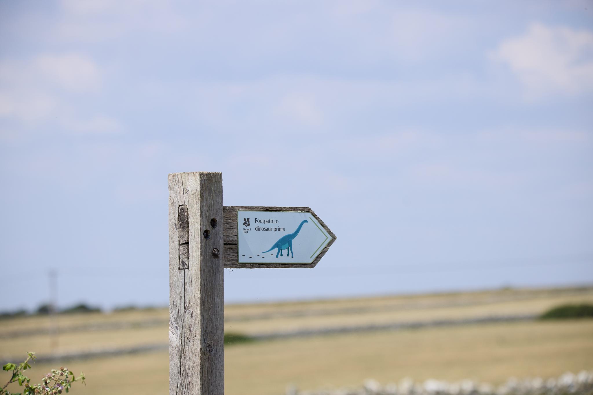 National Trust signpost pointing to the dinosaur prints