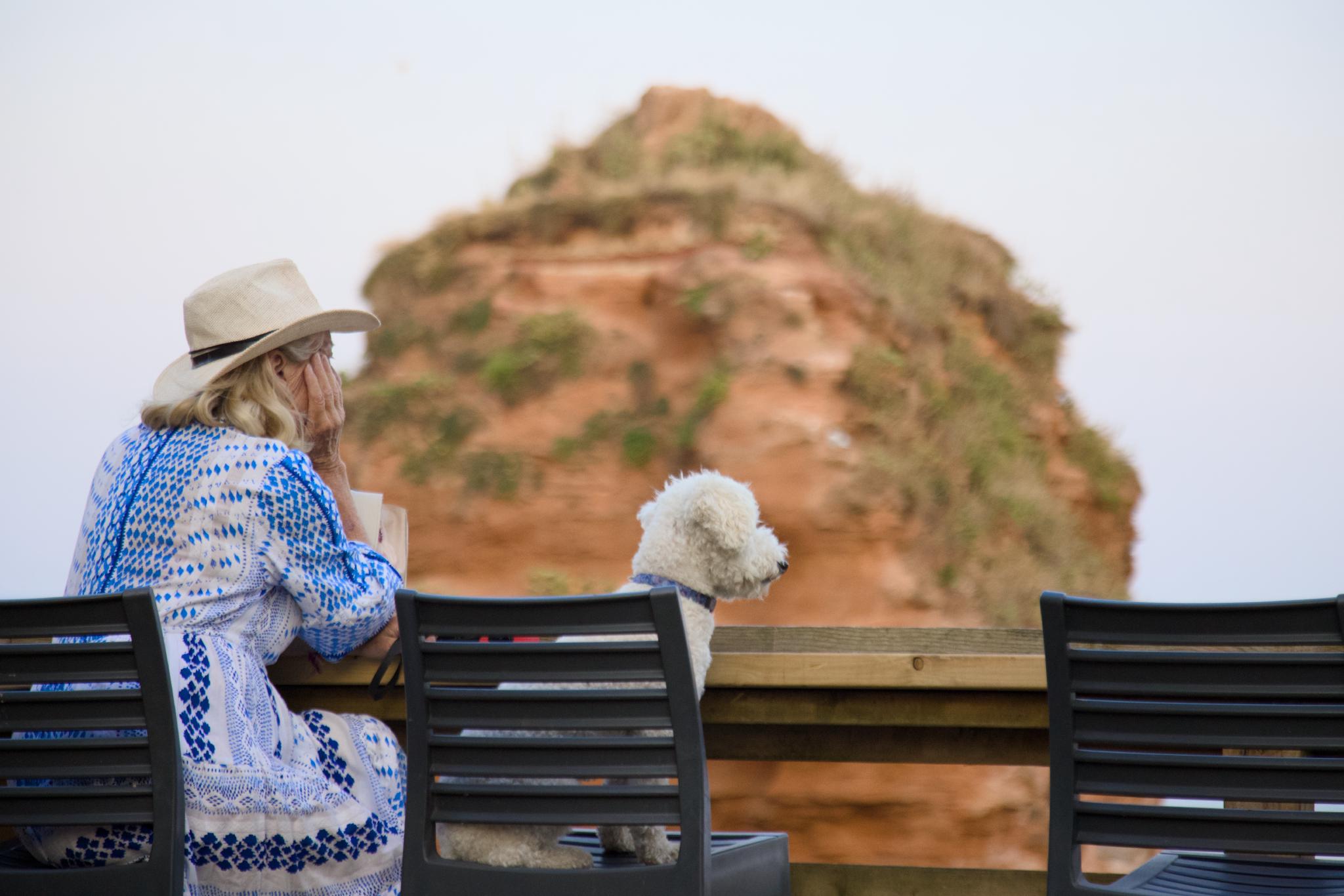 Woman with a sun hat and a white dog looking out at the red sea stack