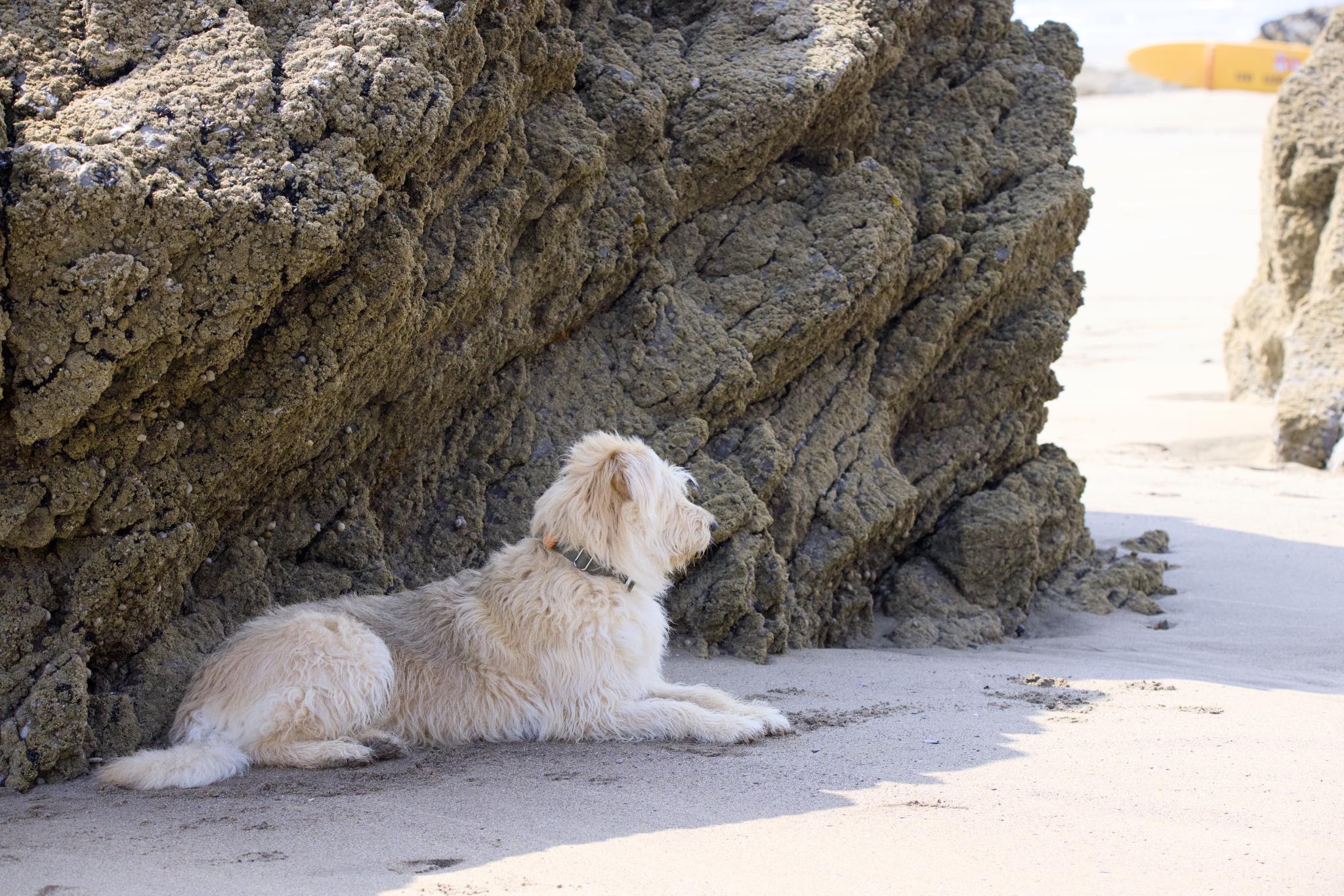 Aika lying in the shade of a rock on the sandy beach