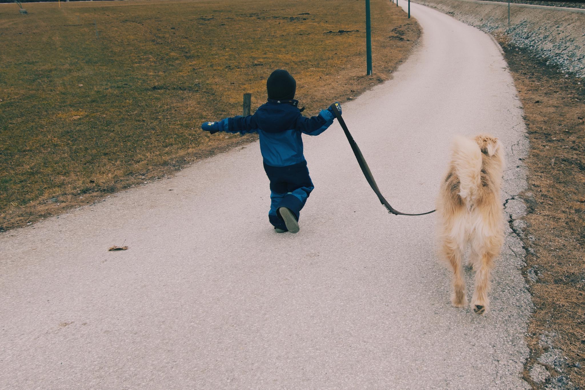 Kellin walking Aika on a leash