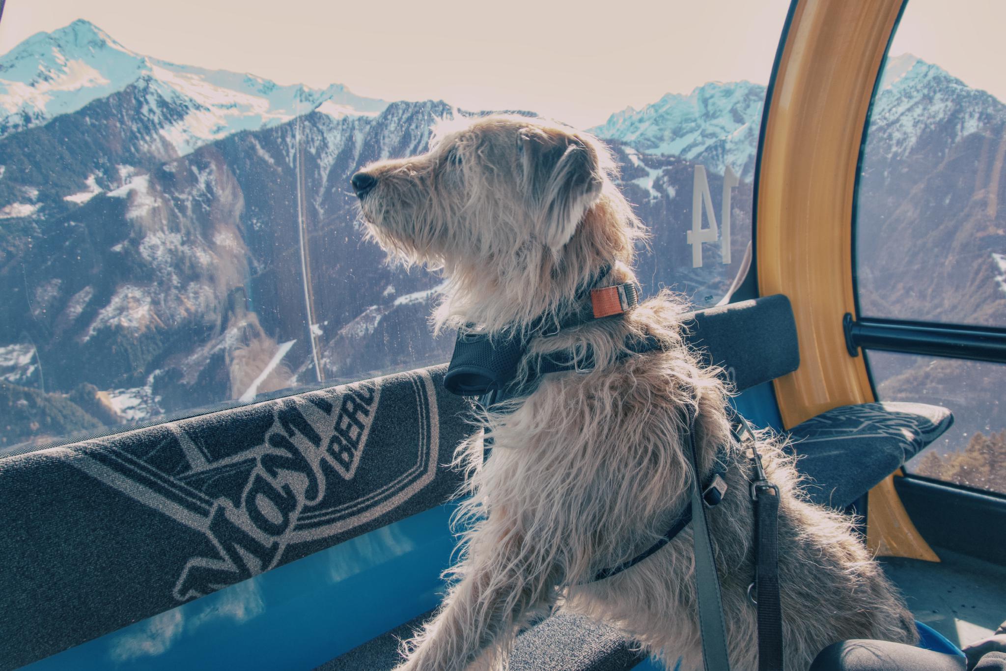 Snow covered mountain panorama from the Penken