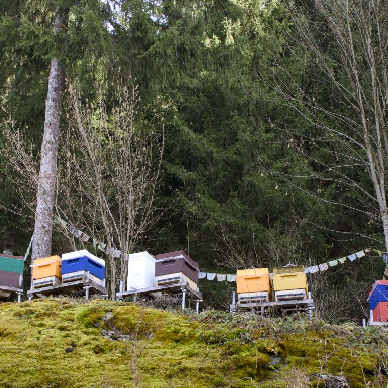 Photo from Winter Vacation (Pt. 7)