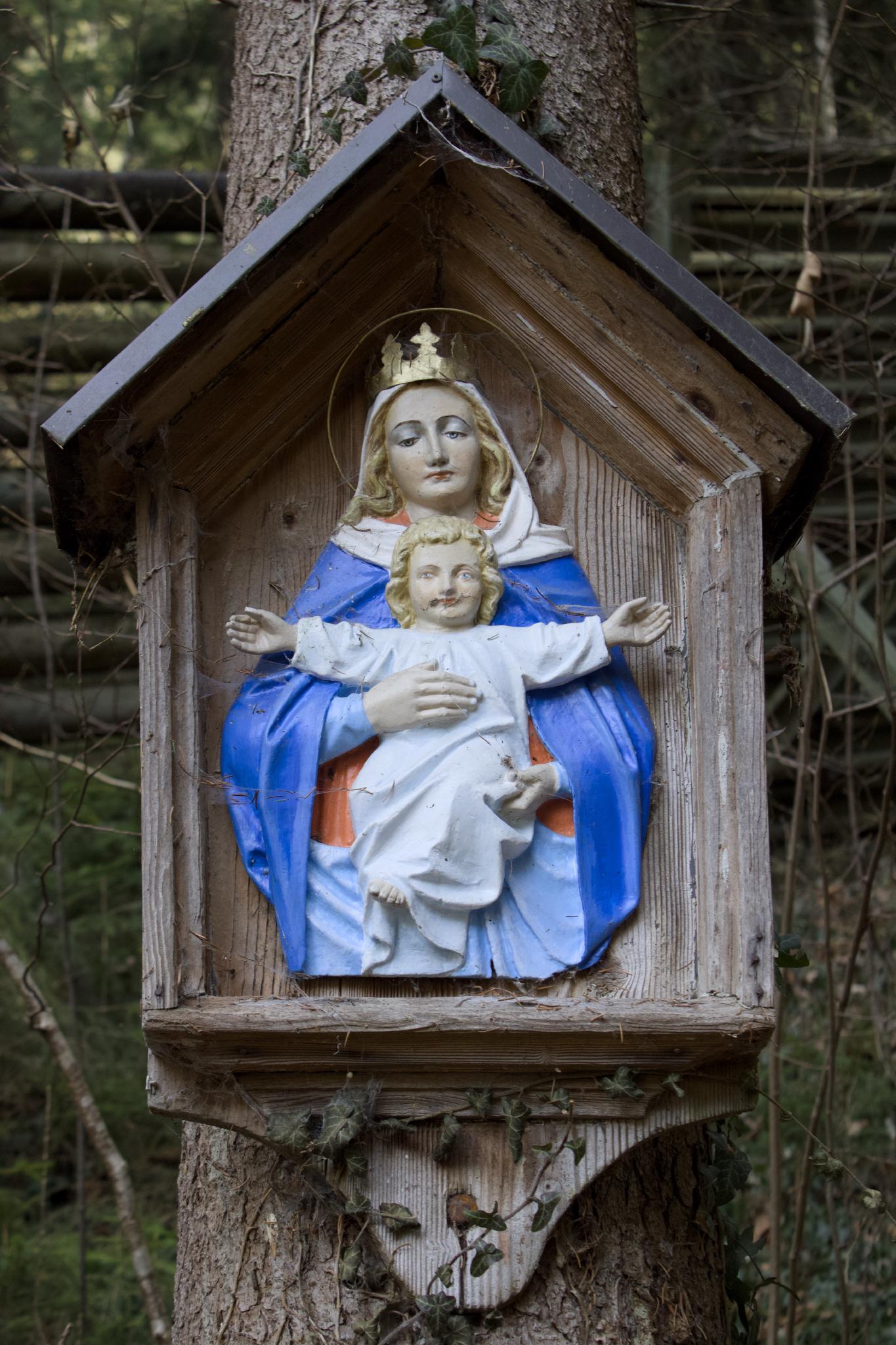 Wooden structure along the trail