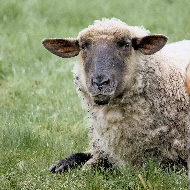 Photo from Back to Back