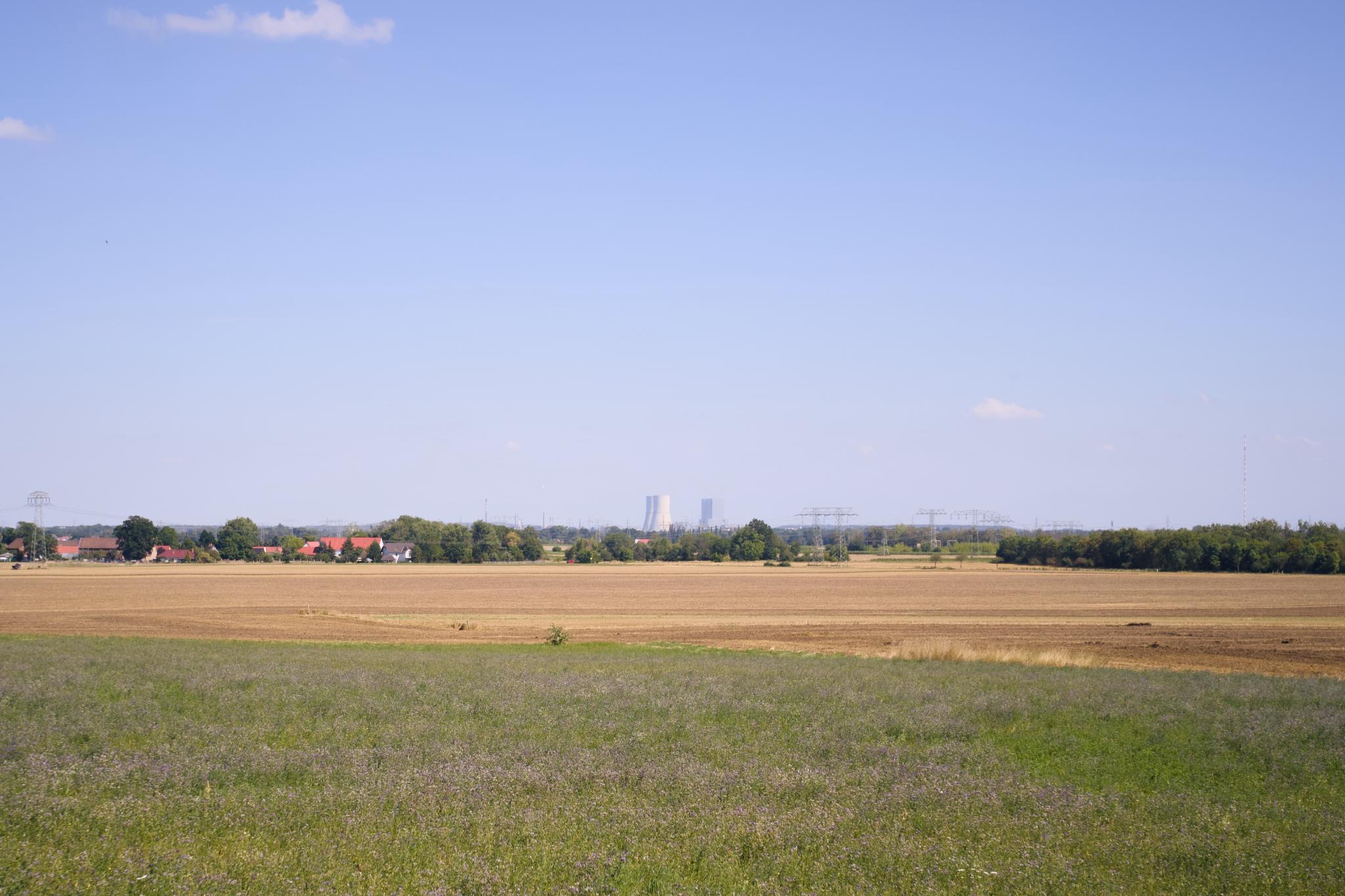 Flowering field in front of harvested fields, cooling towers on the horizon