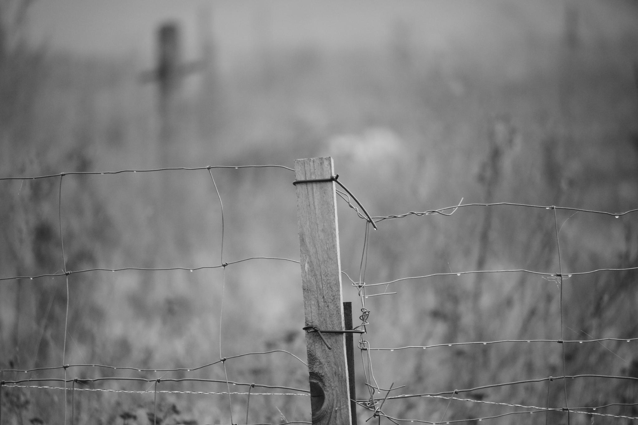 Wire fence post with foggy field behind