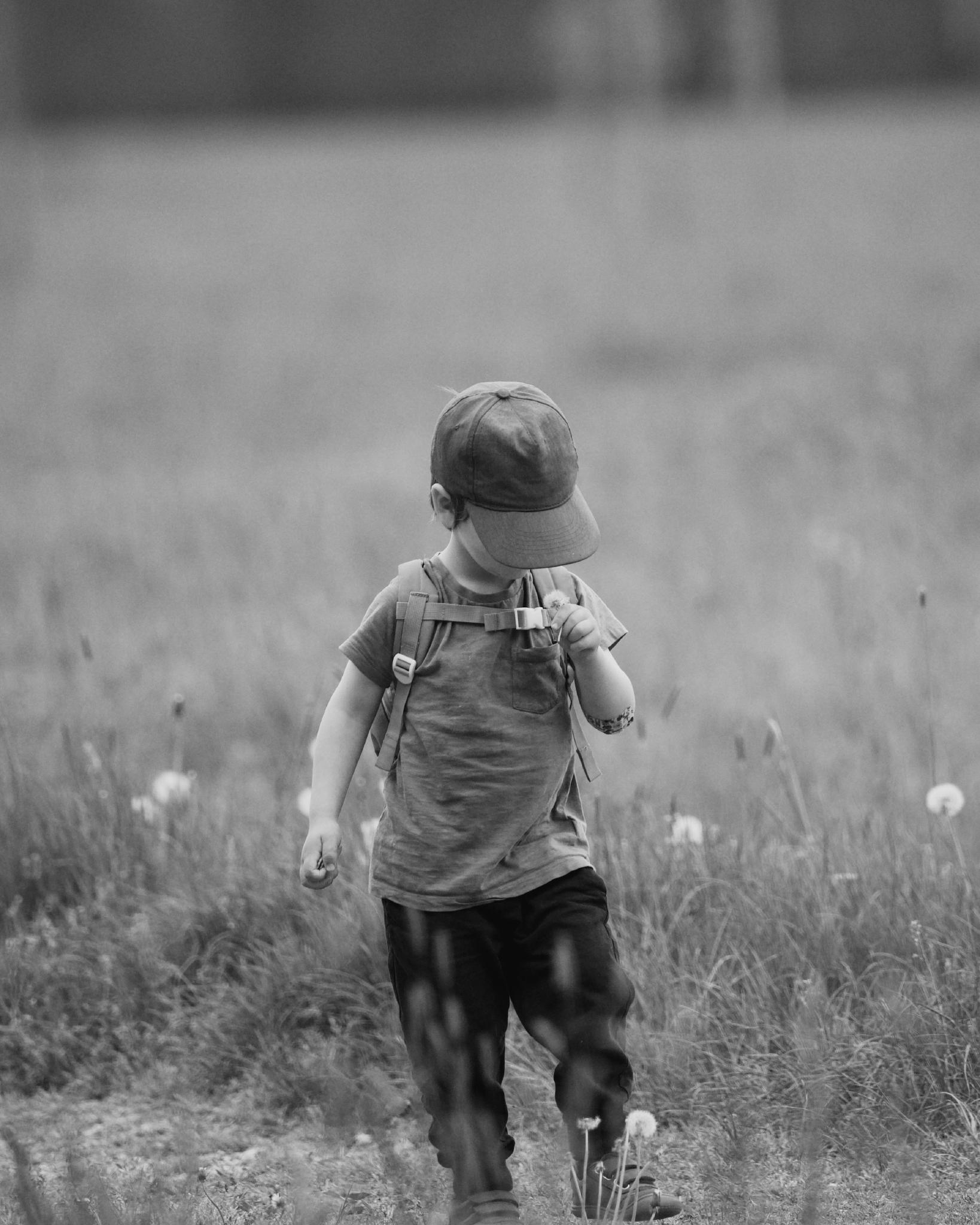 Black and white photo of a young boy in a cap walking through tall grass, holding a dandelion seed head