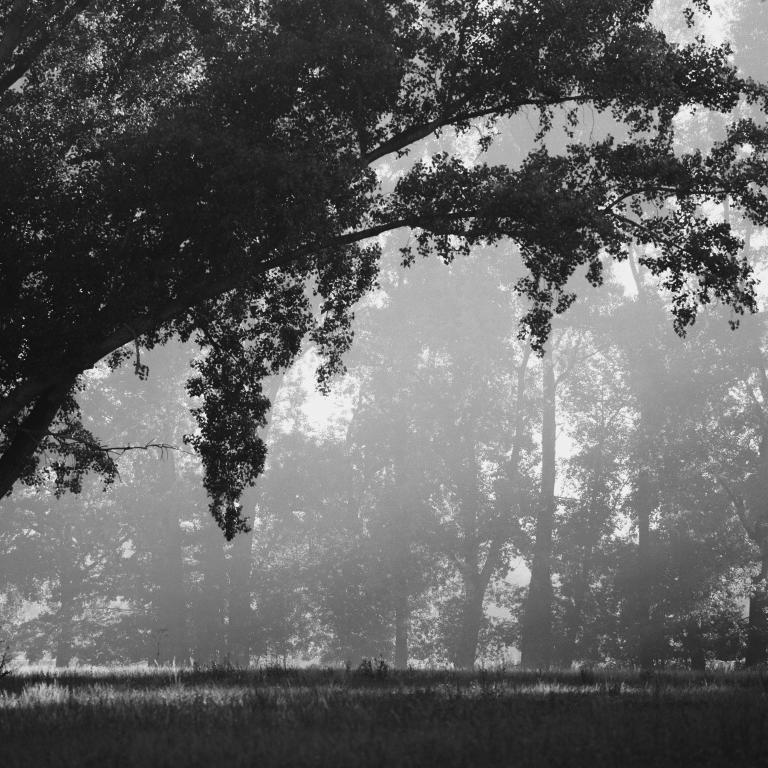 Photo from Haze
