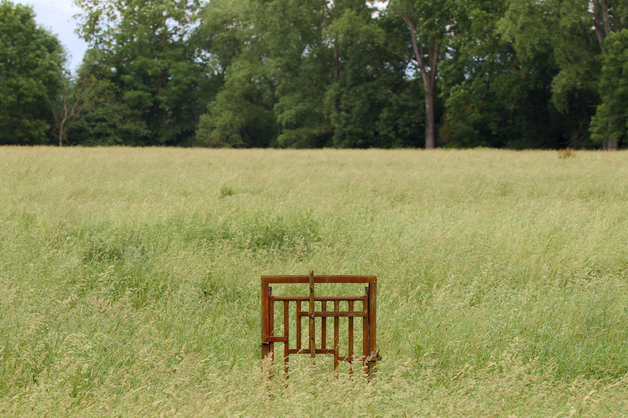 A rusty gate standing alone in a meadow