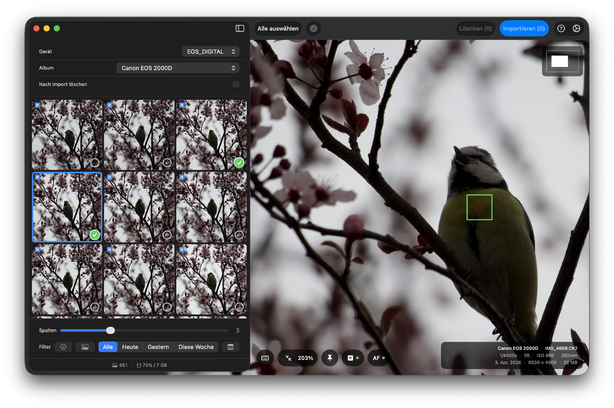 Hypo showing the blue tit shots with focus detection