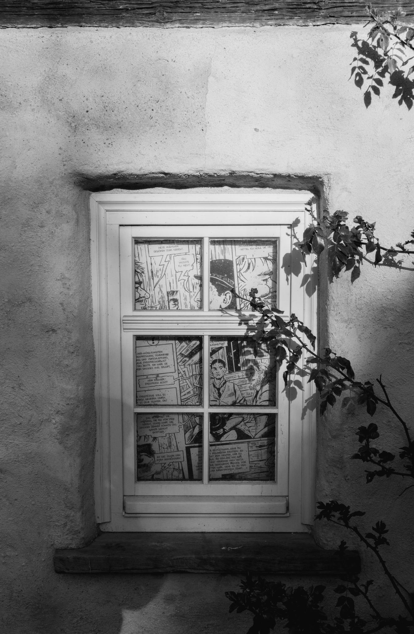 Daily photo taken with Sony camera