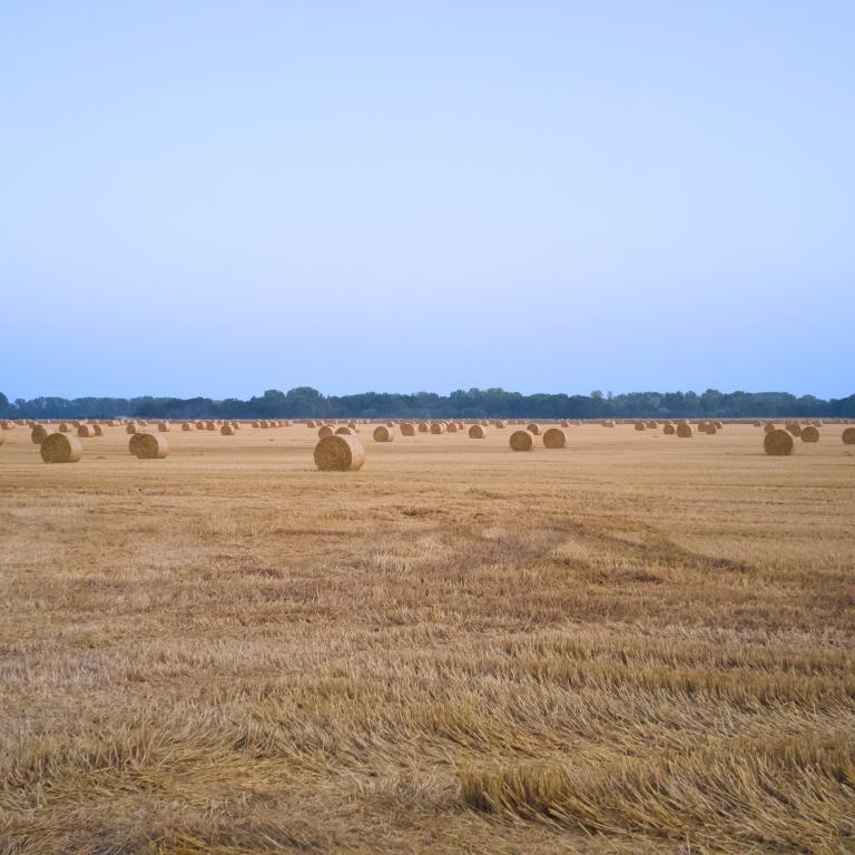 Photo from Same Again