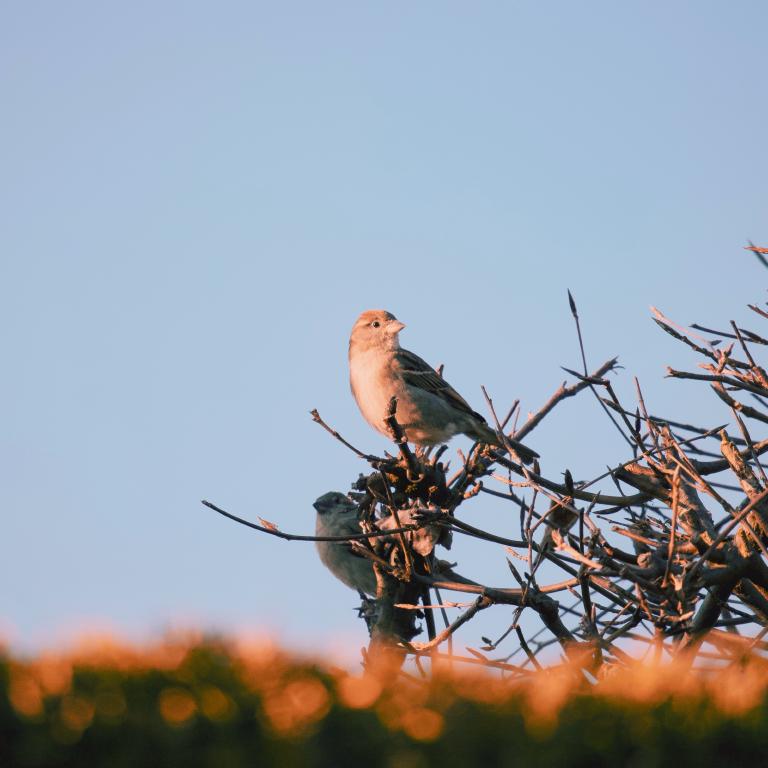 Photo from Sponsored Post