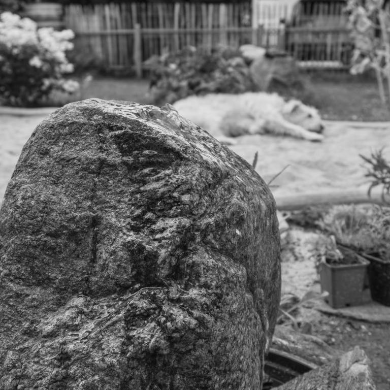 Photo from Spring Stone