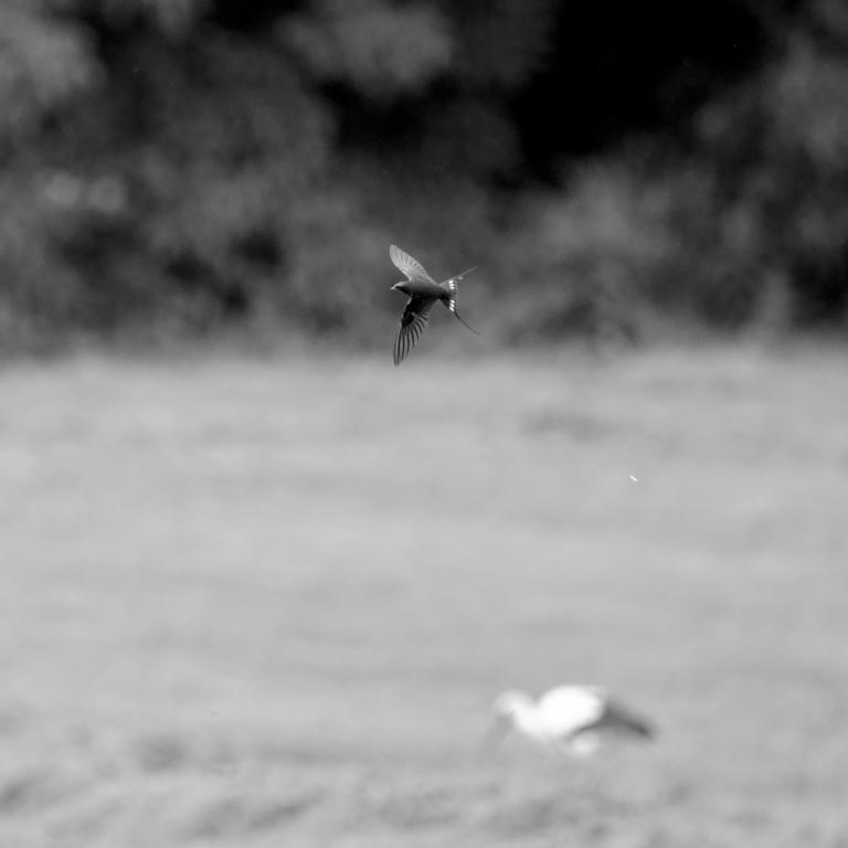 Photo from Flight