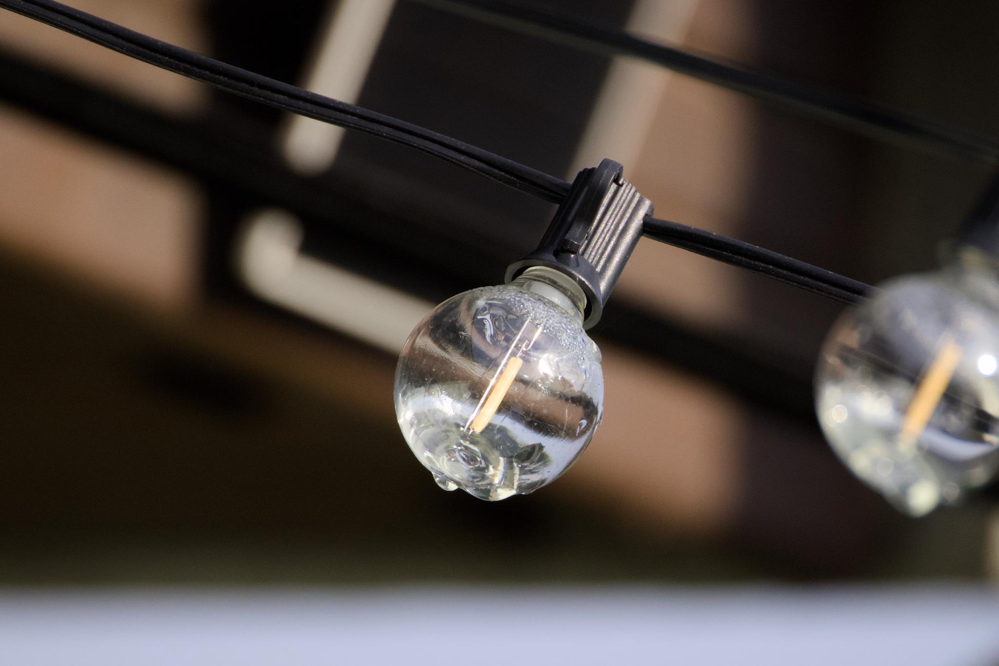 Dew-covered bulb on a garden string light