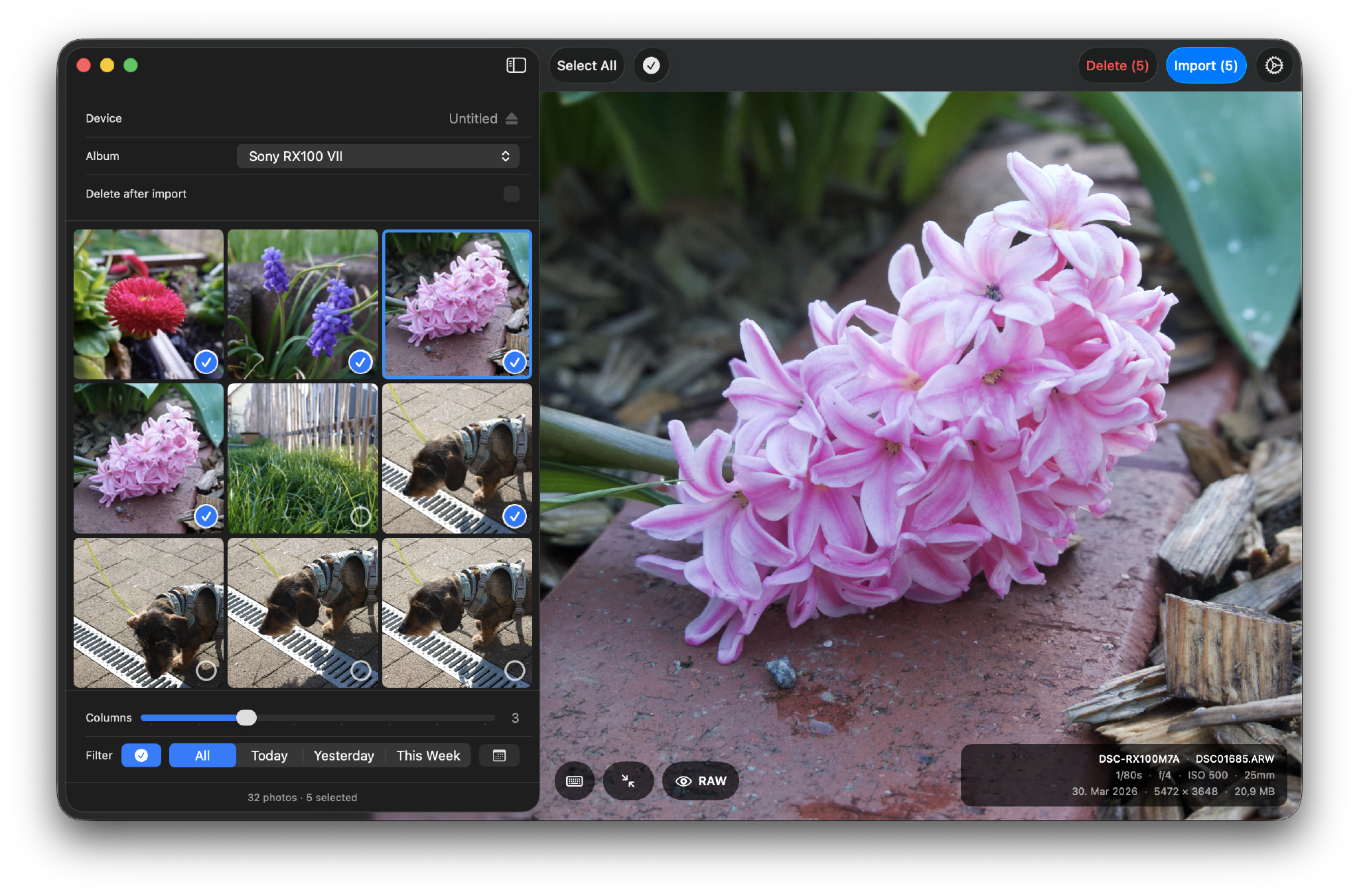Hypo showing a grid of photos with a full RAW preview on the right