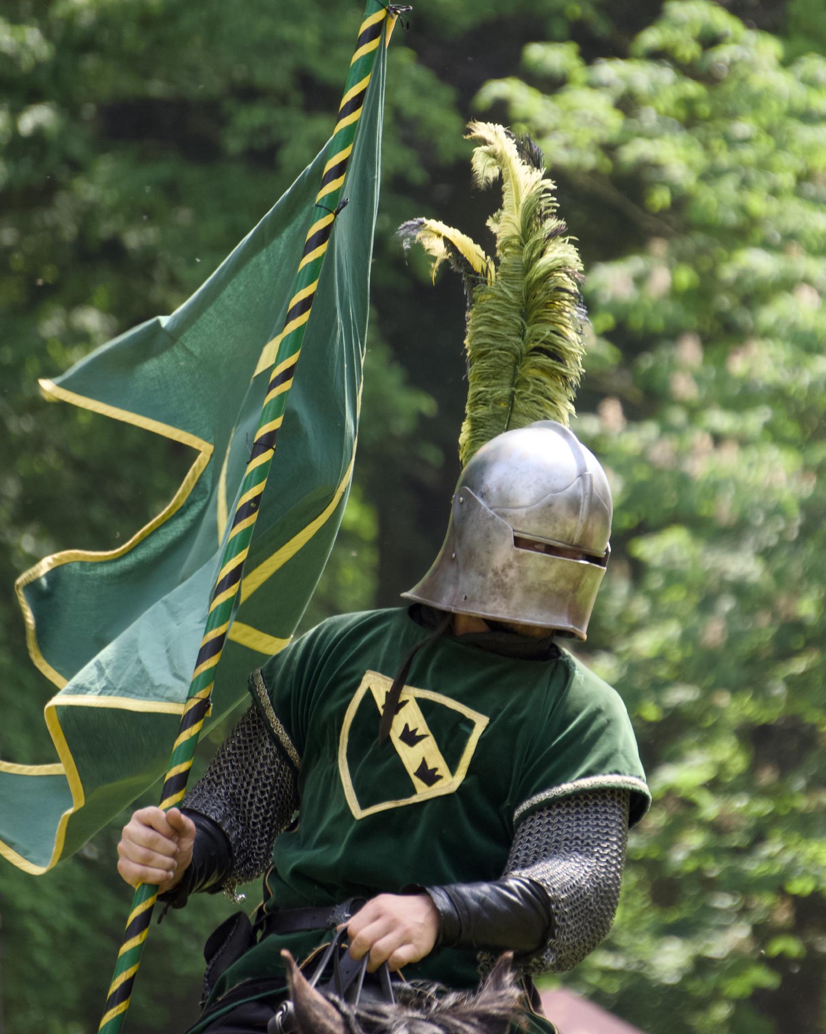 A mounted knight with a green flag and yellow-plumed helmet